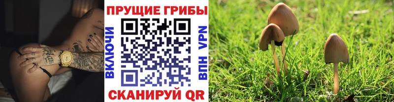 Псилоцибиновые грибы GOLDEN TEACHER Солнечногорск